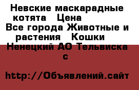 Невские маскарадные котята › Цена ­ 20 000 - Все города Животные и растения » Кошки   . Ненецкий АО,Тельвиска с.